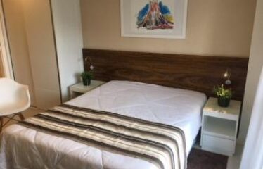 FLAT SHN ED. VISION 1715