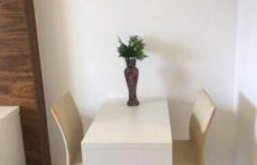 FLAT SHN ED. VISION 1715