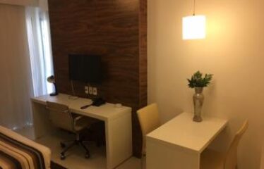 SHN – ED VISION 221