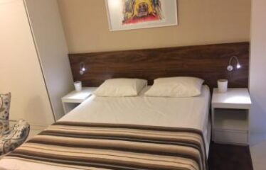 SHN – ED VISION 221