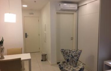 SHN – ED VISION 221