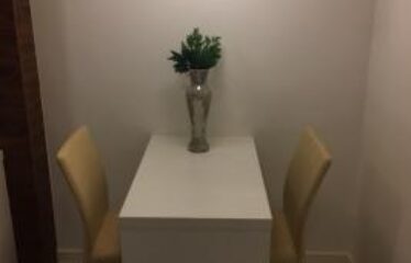 SHN – ED VISION 221