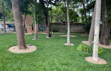 SMLN TRECHO 7 – LAGO NORTE