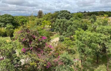 CHÁCARA NO NÚCLEO RURAL DESEMBARGADOR COLOMBO CERQUEIRA