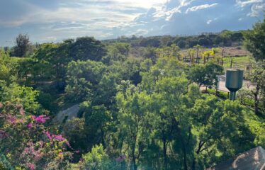 CHÁCARA NO NÚCLEO RURAL DESEMBARGADOR COLOMBO CERQUEIRA