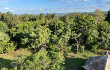 CHÁCARA NO NÚCLEO RURAL DESEMBARGADOR COLOMBO CERQUEIRA